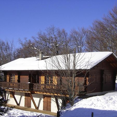 Appartement Chalet Renove 6 Pers Avec Terrasse Proche Evian, Ski Et Randonnee - Fr-1-498-29 Saint-Paul-en-Chablais Екстериор снимка