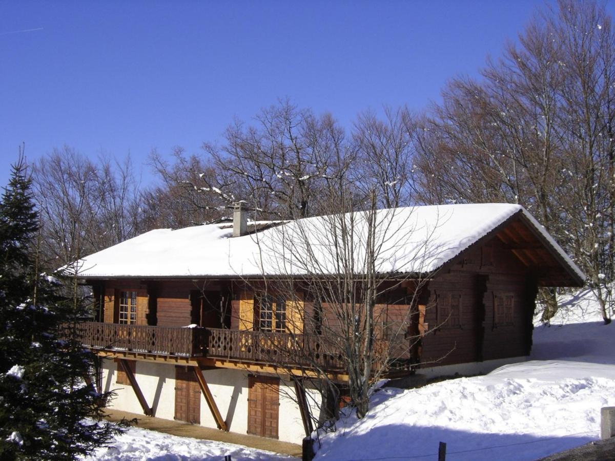 Appartement Chalet Renove 6 Pers Avec Terrasse Proche Evian, Ski Et Randonnee - Fr-1-498-29 Saint-Paul-en-Chablais Екстериор снимка